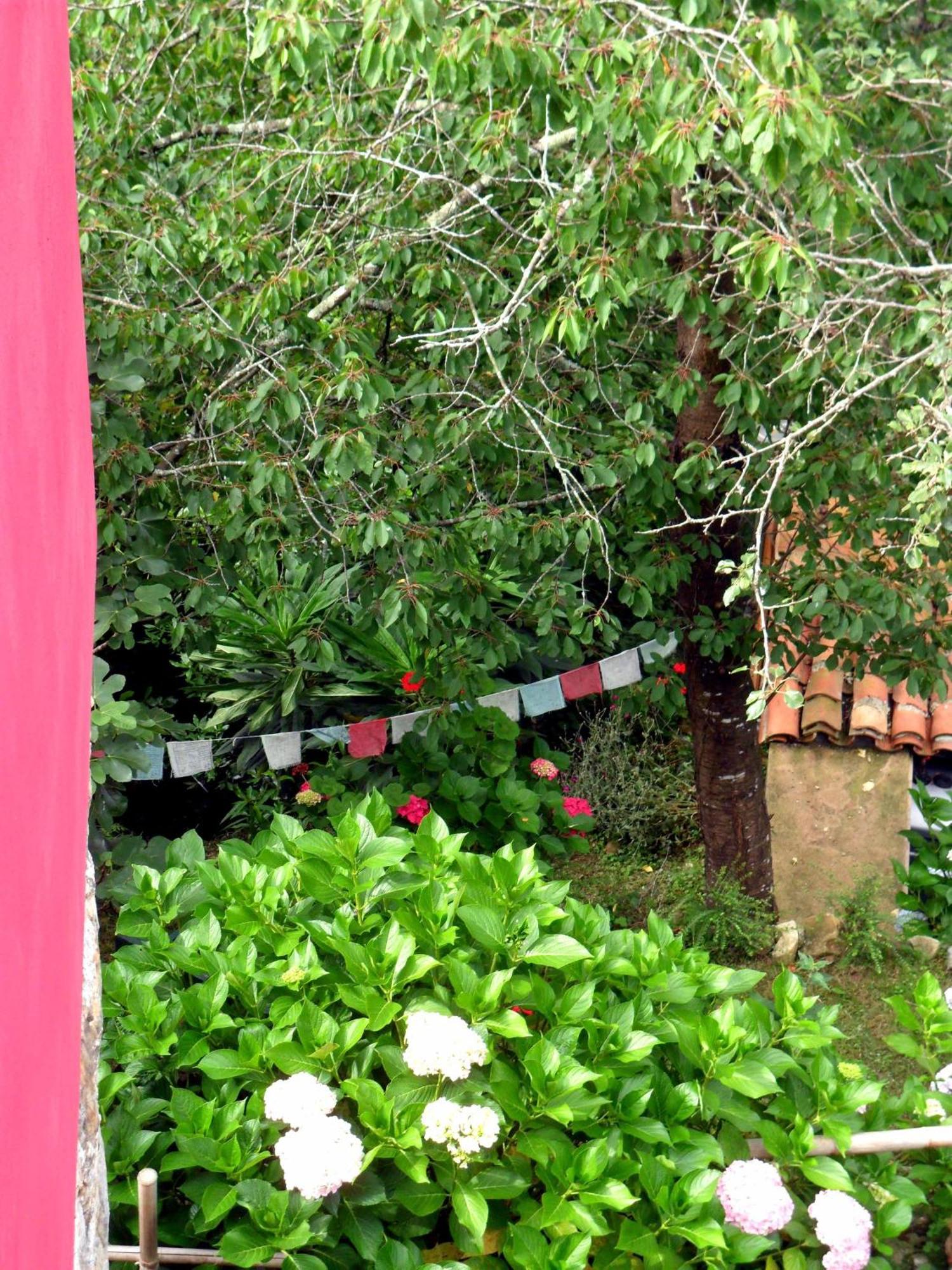 Casa Rural La Posada Del Alba Alea ภายนอก รูปภาพ