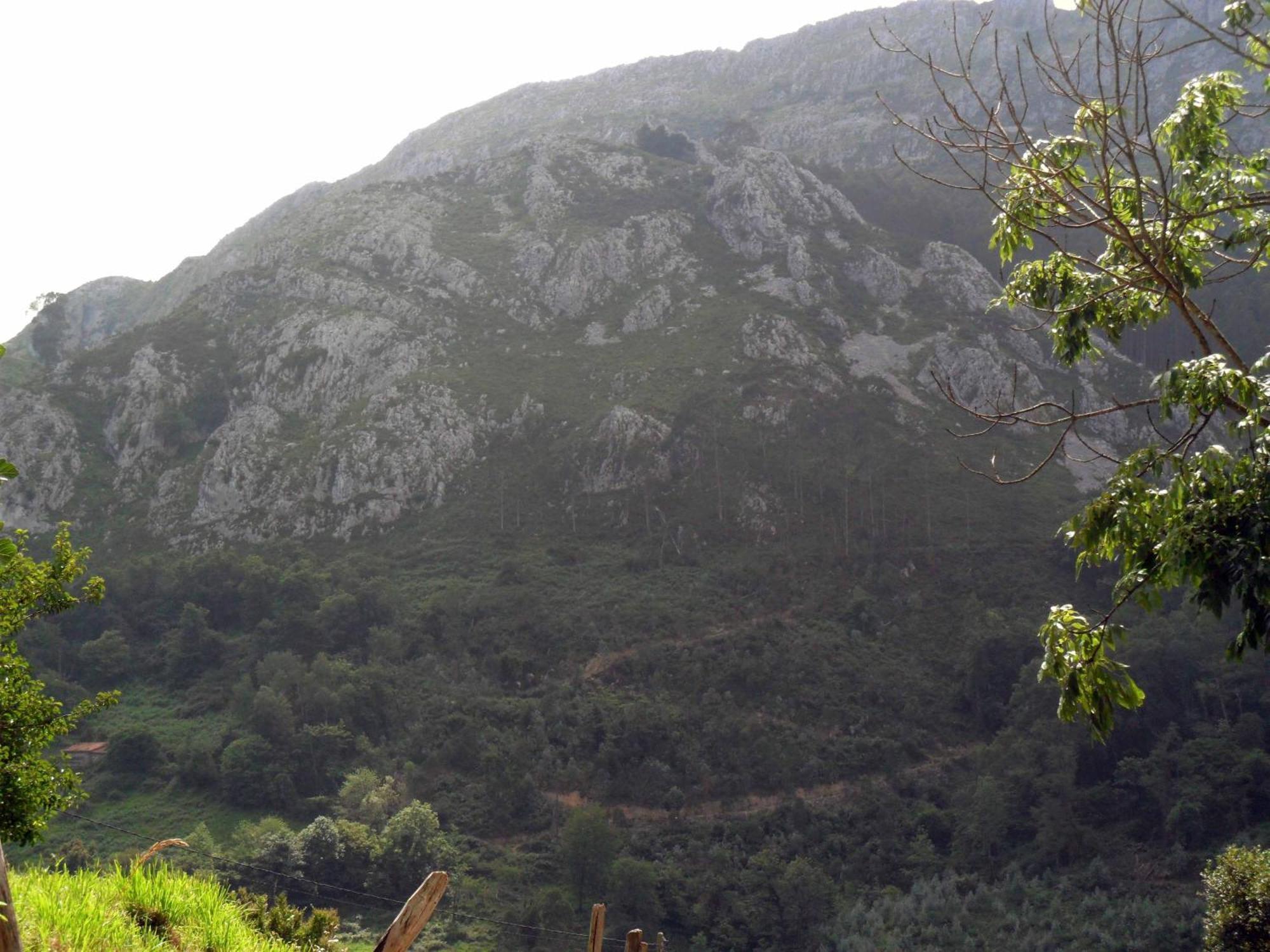 Casa Rural La Posada Del Alba Alea ภายนอก รูปภาพ