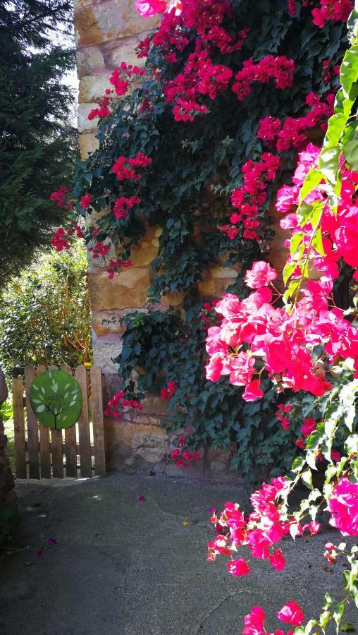 Casa Rural La Posada Del Alba Alea ภายนอก รูปภาพ